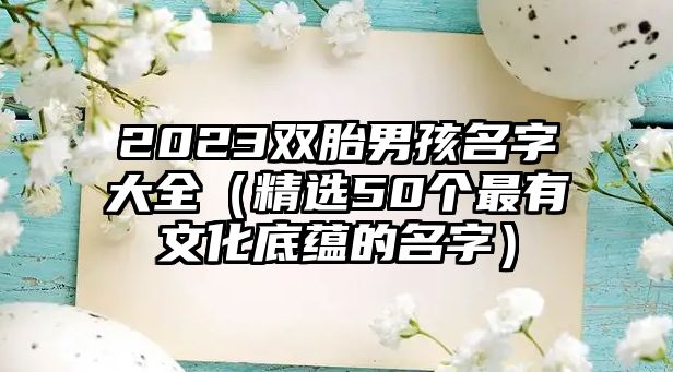 2023双胎男孩名字大全（精选50个最有文化底蕴的名字）