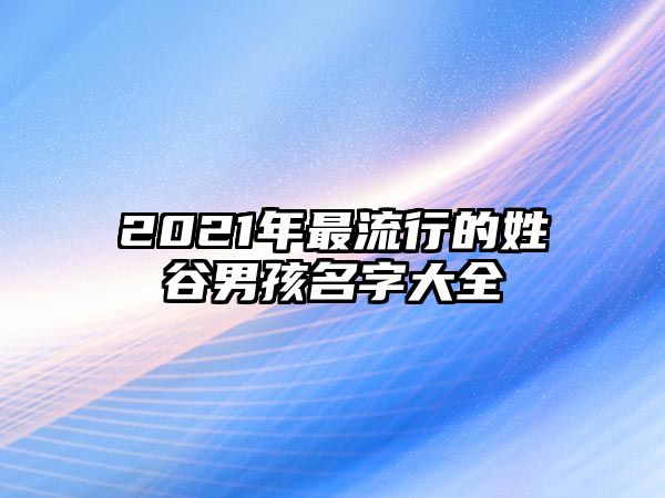 2021年最流行的姓谷男孩名字大全