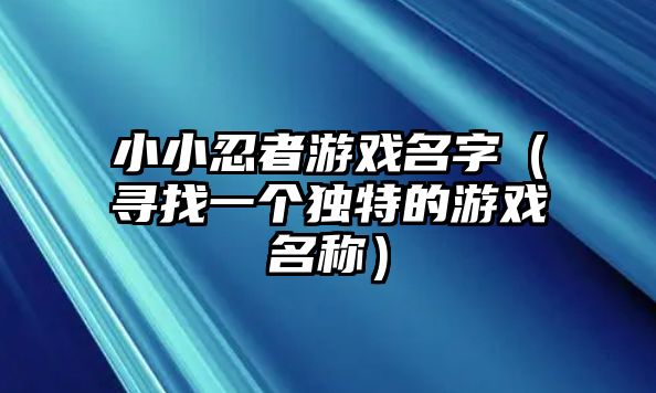 小小忍者游戏名字（寻找一个独特的游戏名称）