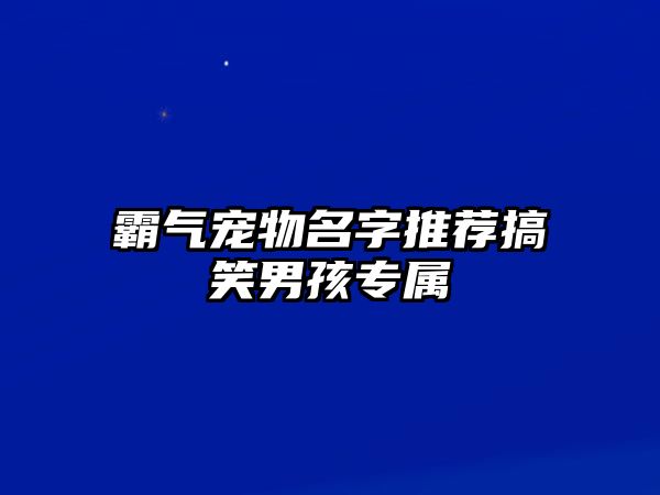 霸气宠物名字推荐搞笑男孩专属