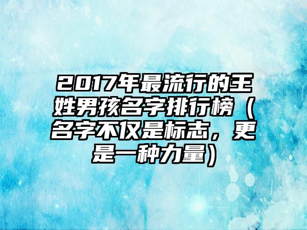 2017年最流行的王姓男孩名字排行榜（名字不仅是标志，更是一种力量）