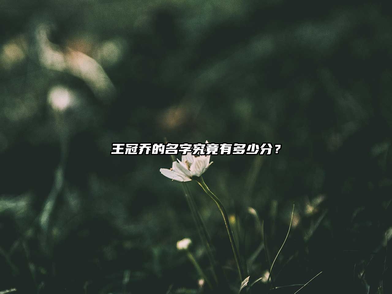 王冠乔的名字究竟有多少分？