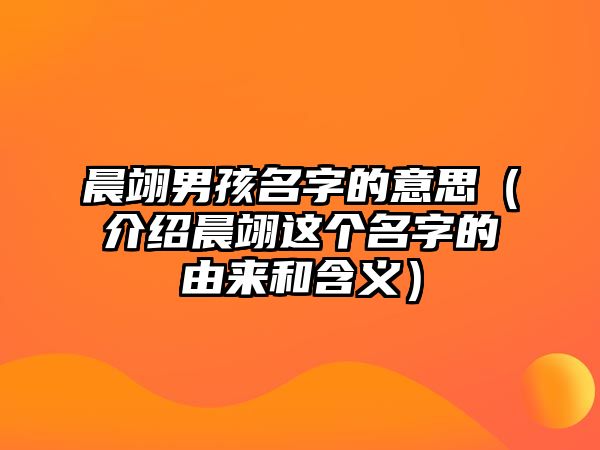 晨翊男孩名字的意思（介绍晨翊这个名字的由来和含义）