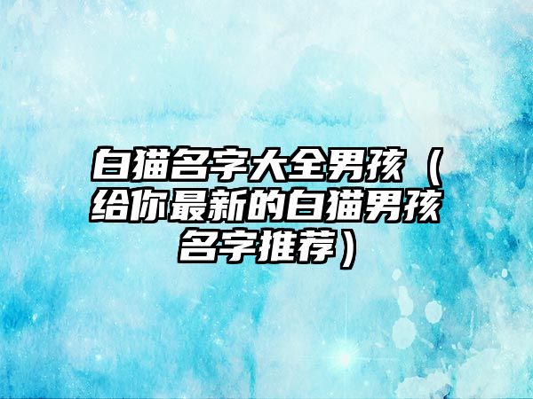 白猫名字大全男孩（给你最新的白猫男孩名字推荐）