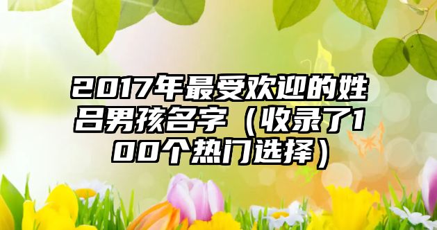 2017年最受欢迎的姓吕男孩名字（收录了100个热门选择）