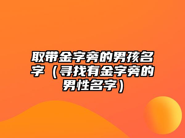 取带金字旁的男孩名字（寻找有金字旁的男性名字）