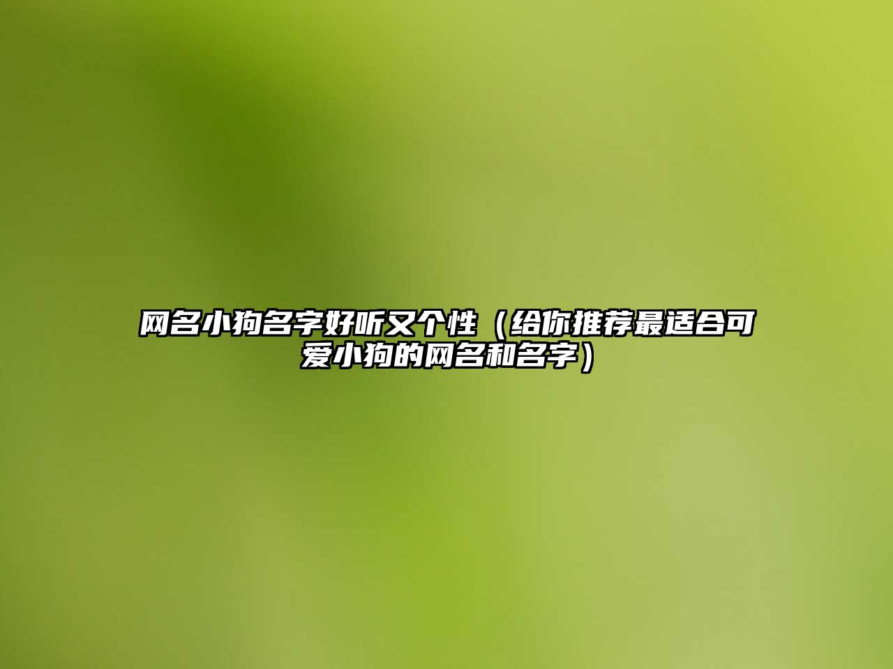 网名小狗名字好听又个性（给你推荐最适合可爱小狗的网名和名字）