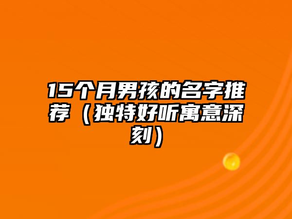 15个月男孩的名字推荐（独特好听寓意深刻）