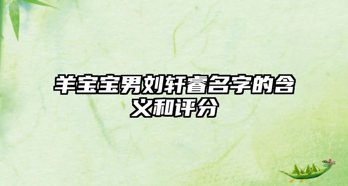 羊宝宝男刘轩睿名字的含义和评分