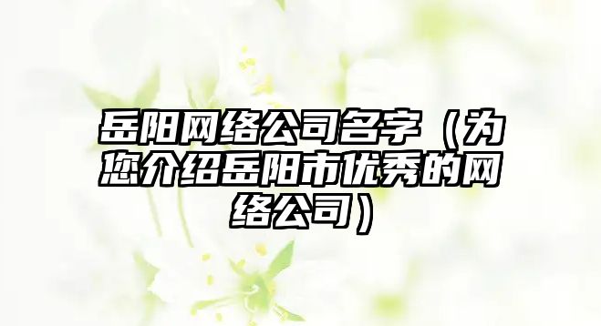 岳阳网络公司名字（为您介绍岳阳市优秀的网络公司）