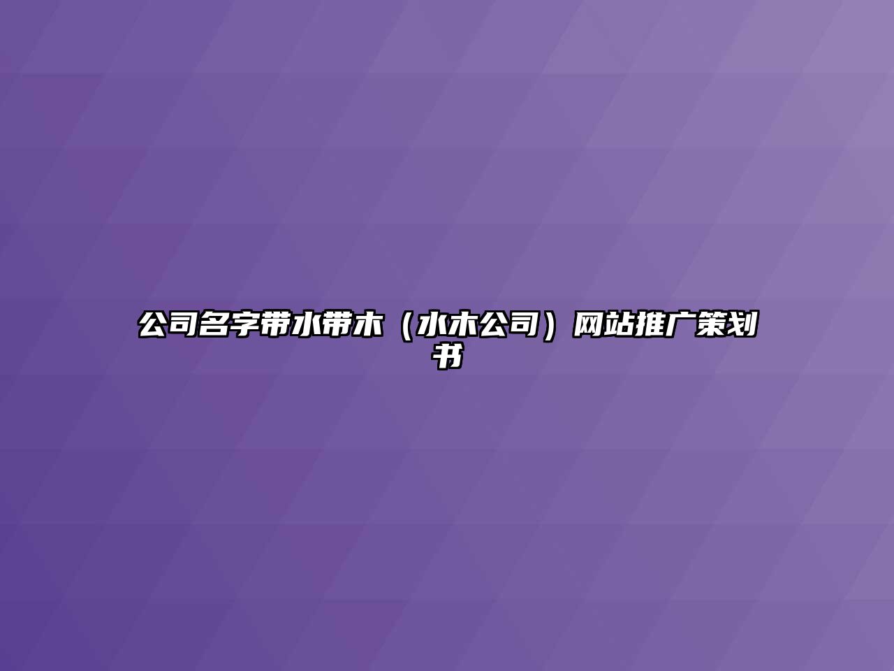 公司名字带水带木（水木公司）网站推广策划书