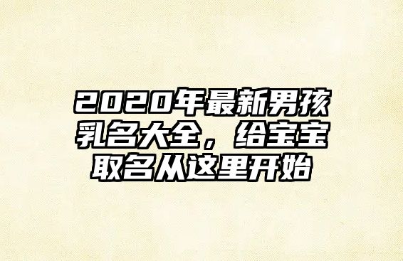 2020年最新男孩乳名大全，给宝宝取名从这里开始