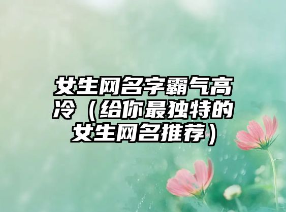 女生网名字霸气高冷（给你最独特的女生网名推荐）