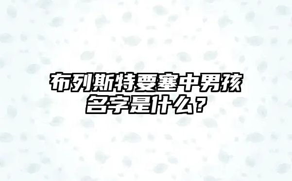 布列斯特要塞中男孩名字是什么？