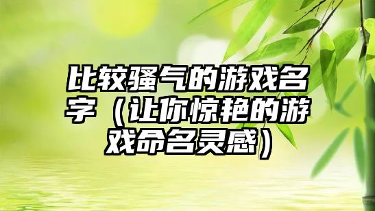 比较骚气的游戏名字（让你惊艳的游戏命名灵感）