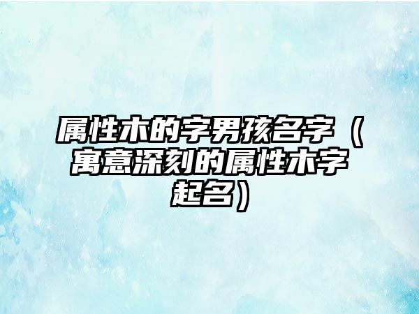 属性木的字男孩名字（寓意深刻的属性木字起名）