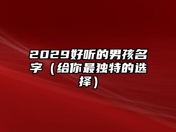 2029好听的男孩名字（给你最独特的选择）