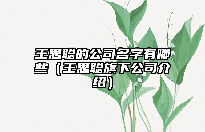 王思聪的公司名字有哪些（王思聪旗下公司介绍）