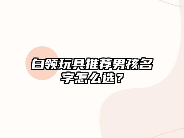 白领玩具推荐男孩名字怎么选？