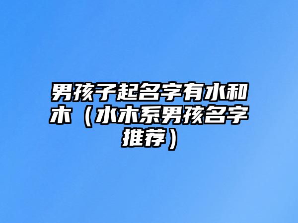 男孩子起名字有水和木（水木系男孩名字推荐）