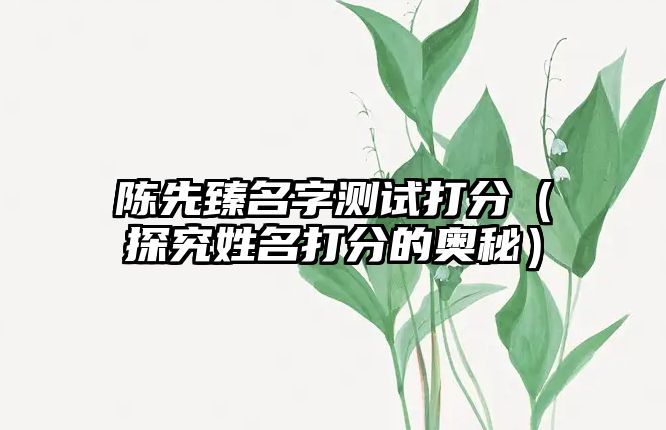 陈先臻名字测试打分（探究姓名打分的奥秘）