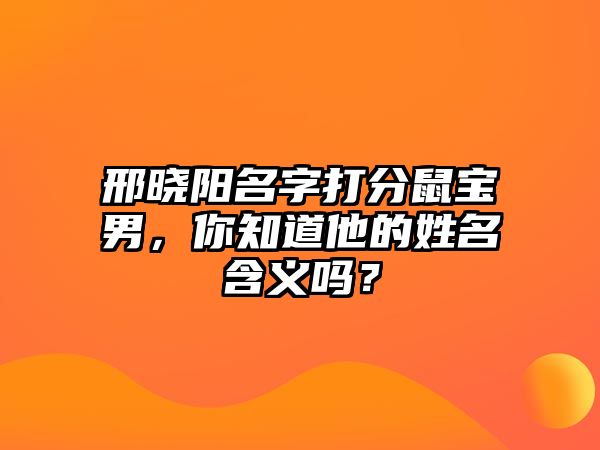 邢晓阳名字打分鼠宝男，你知道他的姓名含义吗？