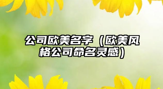 公司欧美名字（欧美风格公司命名灵感）