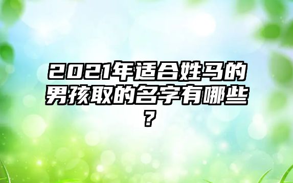 2021年适合姓马的男孩取的名字有哪些？