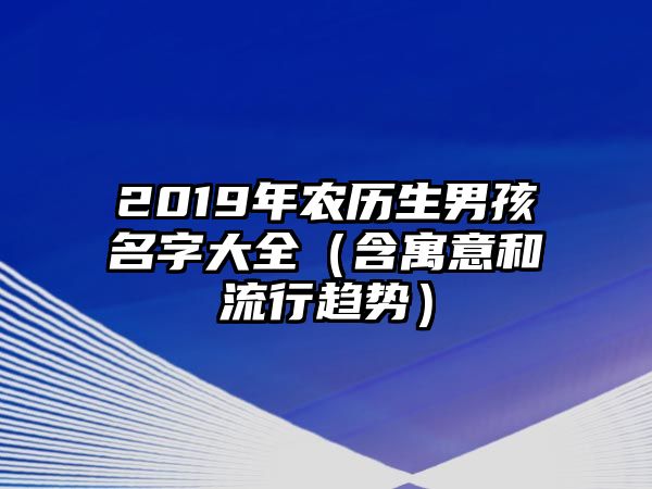 2019年农历生男孩名字大全（含寓意和流行趋势）