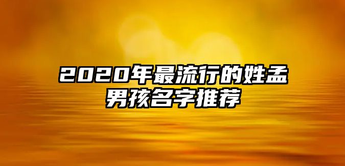 2020年最流行的姓孟男孩名字推荐