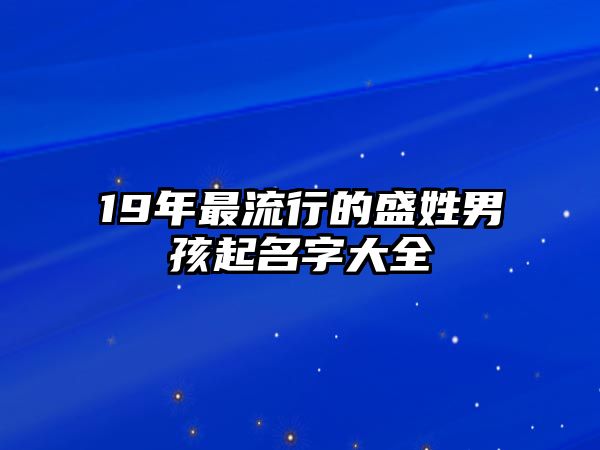 19年最流行的盛姓男孩起名字大全