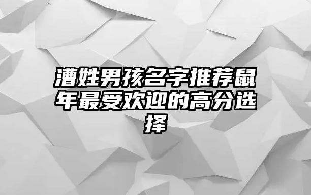 漕姓男孩名字推荐鼠年最受欢迎的高分选择