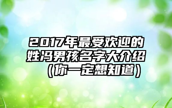 2017年最受欢迎的姓冯男孩名字大介绍（你一定想知道）