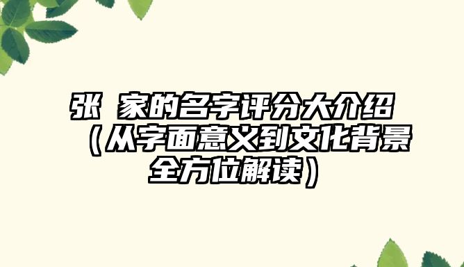 张玹家的名字评分大介绍（从字面意义到文化背景全方位解读）