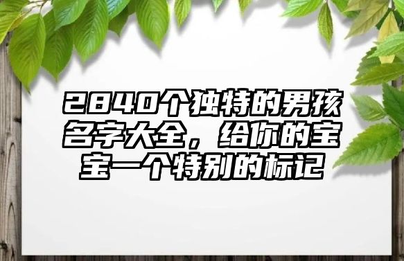 2840个独特的男孩名字大全，给你的宝宝一个特别的标记