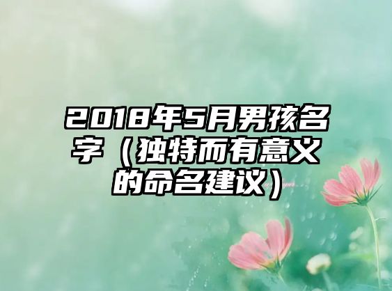 2018年5月男孩名字（独特而有意义的命名建议）