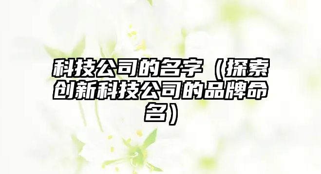 科技公司的名字（探索创新科技公司的品牌命名）