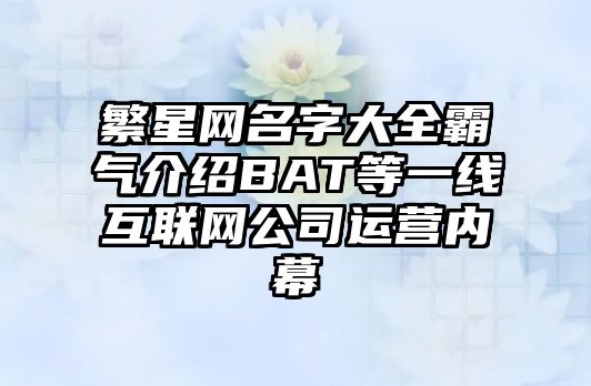 繁星网名字大全霸气介绍BAT等一线互联网公司运营内幕