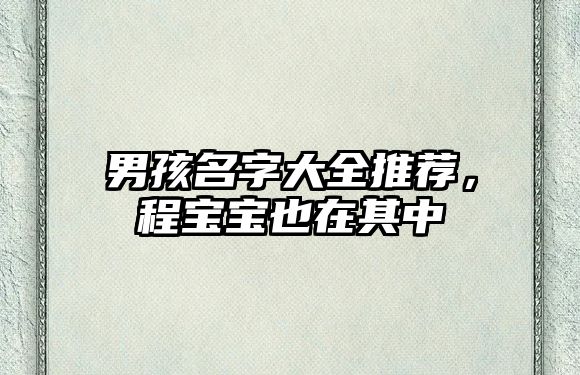 男孩名字大全推荐，程宝宝也在其中