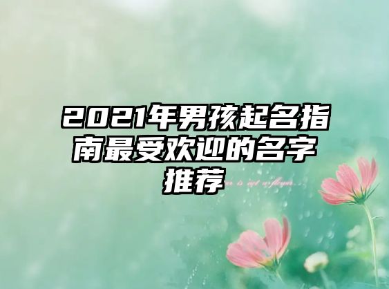 2021年男孩起名指南最受欢迎的名字推荐