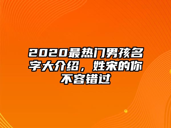 2020最热门男孩名字大介绍，姓宋的你不容错过