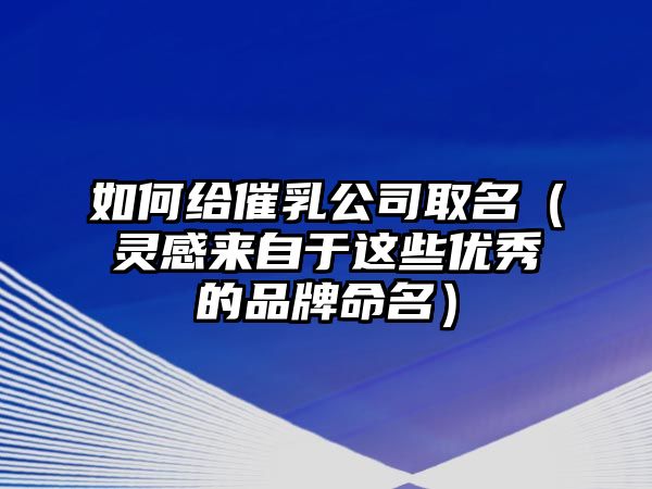 如何给催乳公司取名（灵感来自于这些优秀的品牌命名）