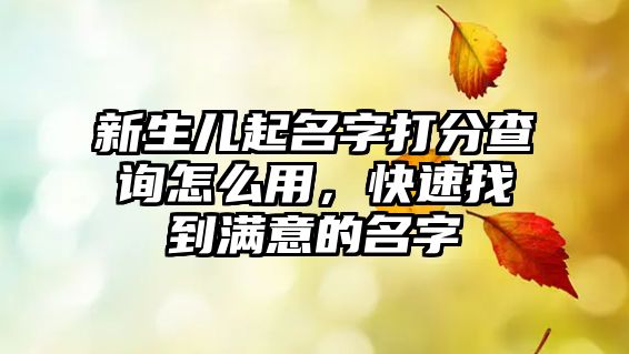 新生儿起名字打分查询怎么用，快速找到满意的名字