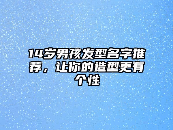 14岁男孩发型名字推荐，让你的造型更有个性