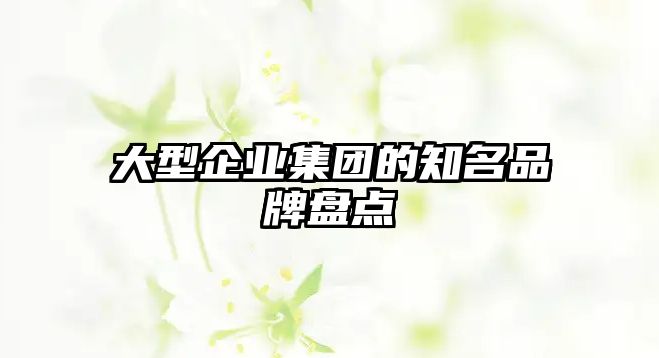 大型企业集团的知名品牌盘点