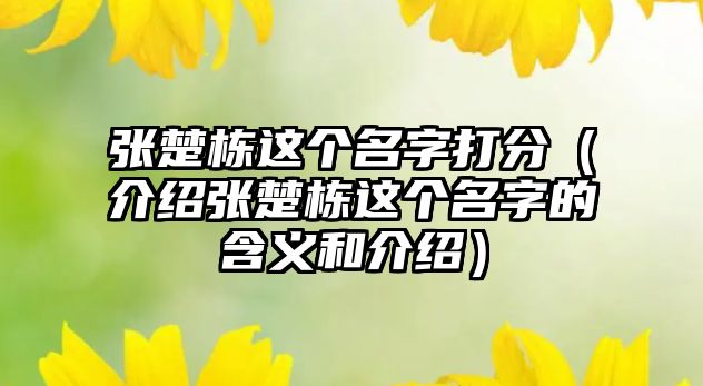 张楚栋这个名字打分（介绍张楚栋这个名字的含义和介绍）