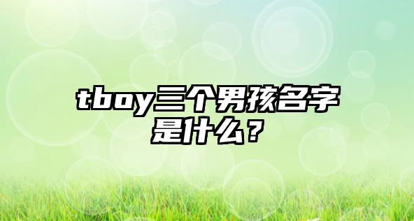 tboy三个男孩名字是什么？