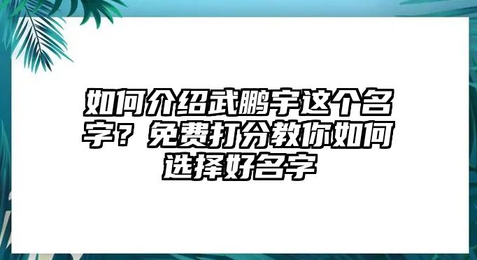 如何介绍武鹏宇这个名字？免费打分教你如何选择好名字