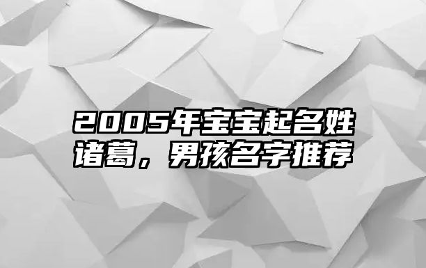 2005年宝宝起名姓诸葛，男孩名字推荐