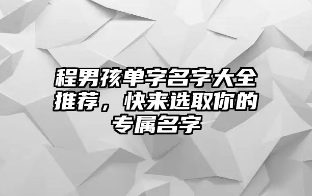 程男孩单字名字大全推荐，快来选取你的专属名字